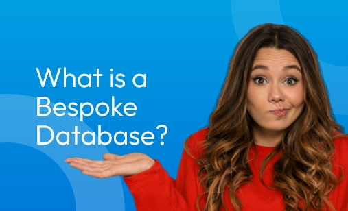 What is a Bespoke Database?