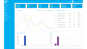 Bespoke Time/Project Tracking Systems